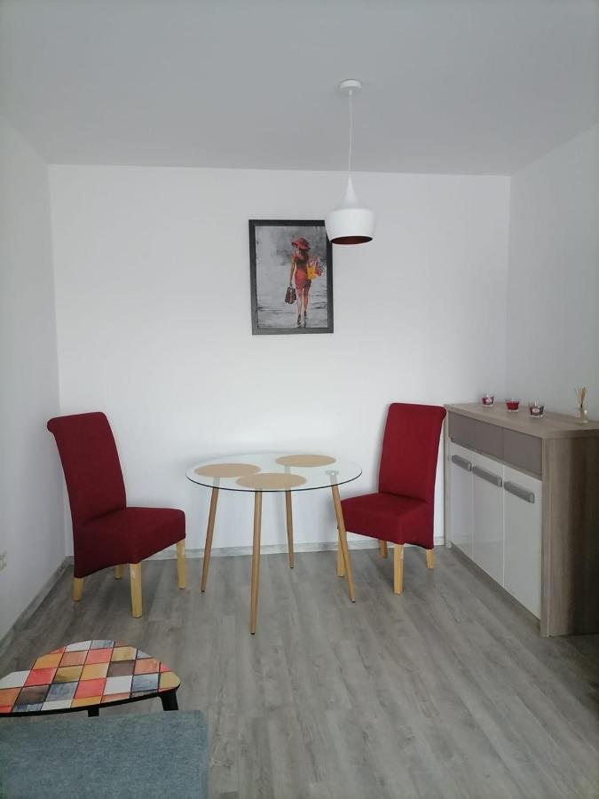 Popas Apartment Брашов Екстер'єр фото
